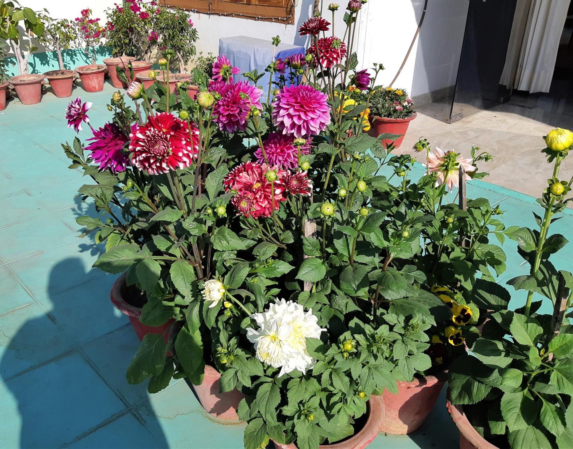 Fully Furnished Ish, Atithya Homestay With Various Amenities And Free Services In Lucknow, India Bagian luar foto