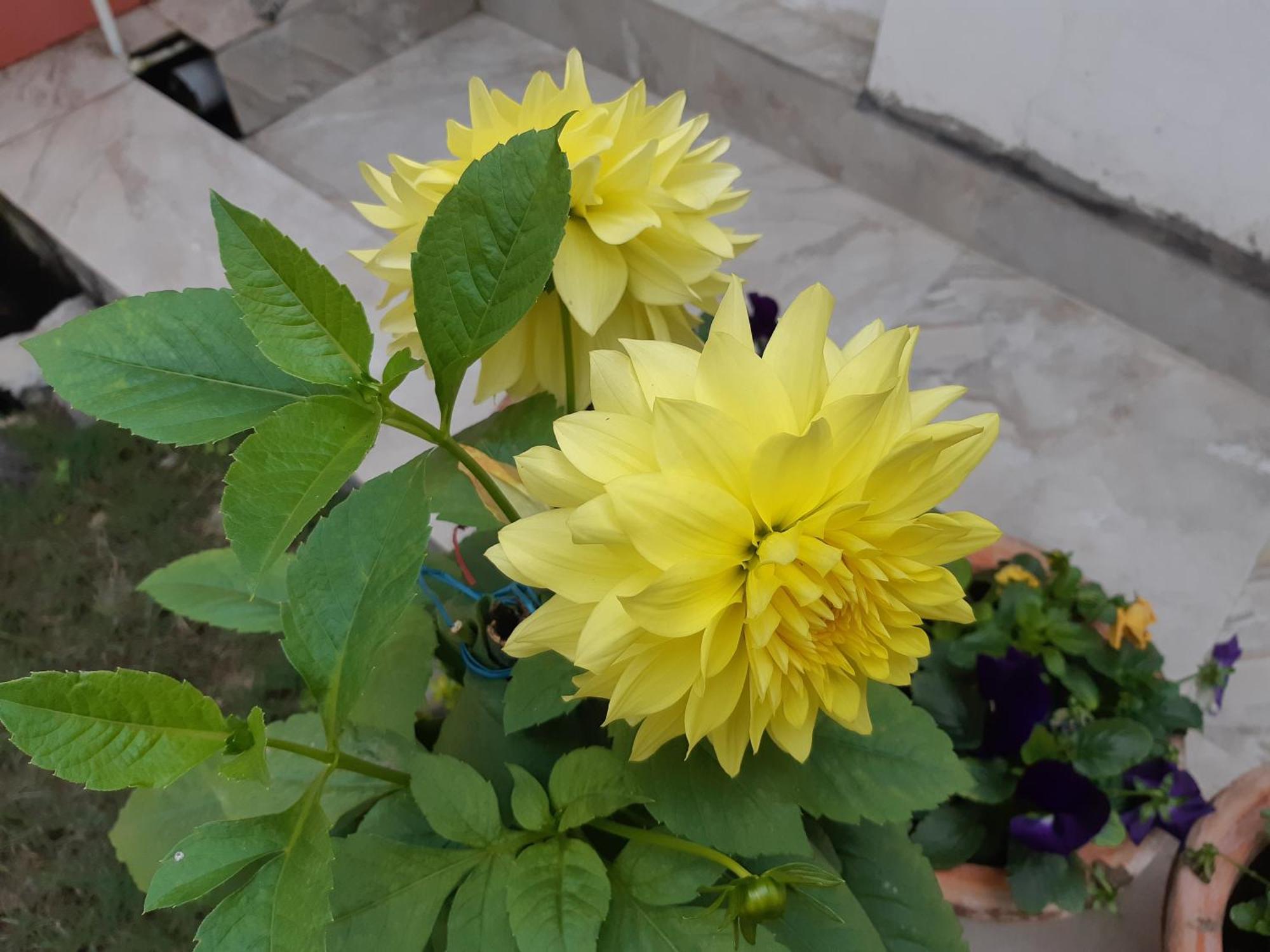 Fully Furnished Ish, Atithya Homestay With Various Amenities And Free Services In Lucknow, India Bagian luar foto